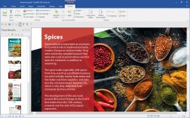 FlexiPDF_Professional_2022_screenshot_4_en